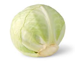 Dutch Cabbage (x10) Dutch